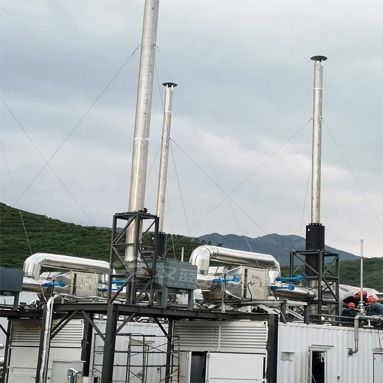 清掉NOX“攔路虎”，實現(xiàn)脫硝大通關(guān)——萬純生物質(zhì)沼氣發(fā)電機組尾氣脫硝系統(tǒng)在華北某電站安裝運行