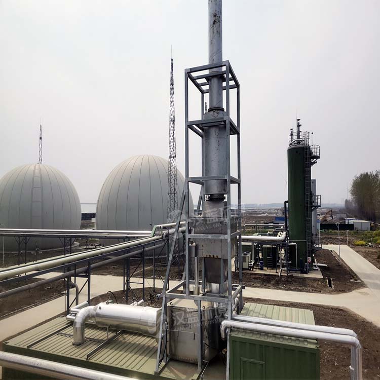 河南某沼氣項(xiàng)目生物質(zhì)沼氣發(fā)電機(jī)組脫硝系統(tǒng)