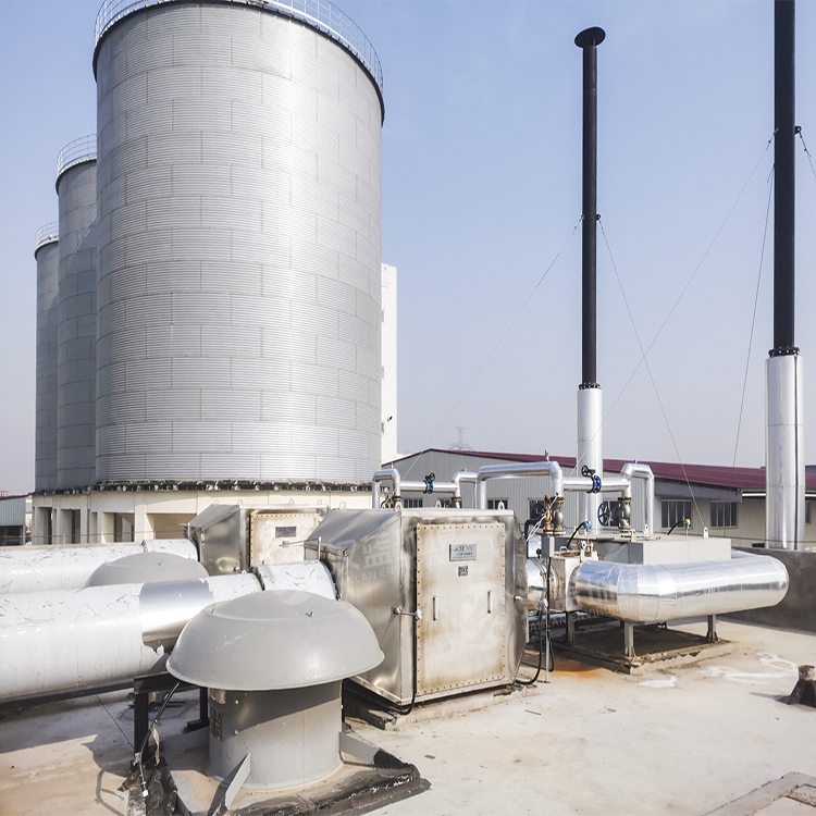 糞污發(fā)電&脫硝 能源沃土開鮮花 ——萬純糞污沼氣發(fā)電機組SCR脫硝系統(tǒng)在某公司成功通過驗收 糞污發(fā)電&脫硝 能源沃土開鮮花 ——萬純糞污沼氣發(fā)電機組SCR脫硝系統(tǒng)在某公司成功通過驗收