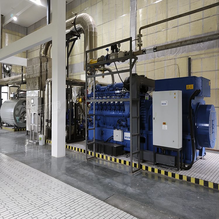 NOX排放雖達(dá)標(biāo) 氨的逃逸也要少 ——萬(wàn)純沼氣發(fā)電機(jī)組SCR脫硝系統(tǒng)在某公司圓滿驗(yàn)收 NOX排放雖達(dá)標(biāo) 氨的逃逸也要少 ——萬(wàn)純沼氣發(fā)電機(jī)組SCR脫硝系統(tǒng)在某公司圓滿驗(yàn)收