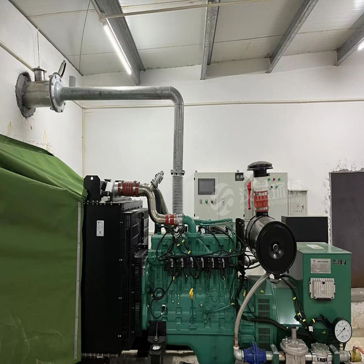 沼氣氣源越“清潔”，脫硝達標才更有保障 ——萬純糞肥沼氣發(fā)電機組脫硝系統(tǒng)在某養(yǎng)殖廠安裝運行