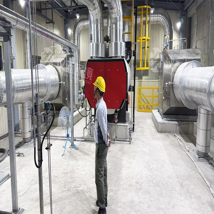 揚(yáng)帆出海正當(dāng)時(shí)，乘風(fēng)破浪潮頭立 ——河北漢藍(lán)設(shè)計(jì)制造的燃?xì)獍l(fā)電機(jī)組脫硝系統(tǒng)在海外某地區(qū)驗(yàn)收通關(guān)